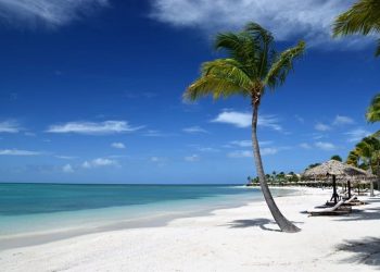Antigua Tours Transportation & Taxi